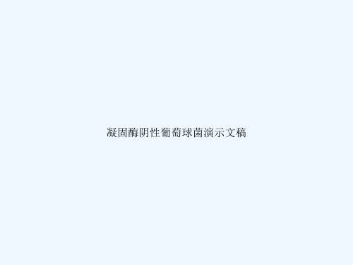 凝固酶阴性葡萄球菌演示文稿