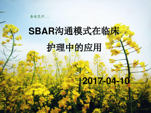 SBAR沟通模式PPT幻灯片