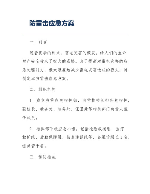 防雷击应急方案