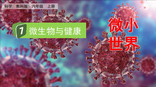 《微生物与健康》PPT