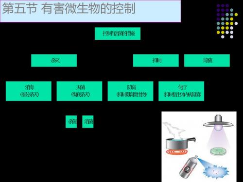 有害微生物的控制 22页PPT文档