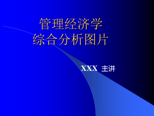 管理经济学综合分析图片