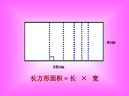 四年级数学三角形的面积计算7(2019年11月整理)