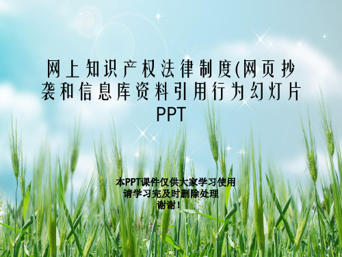 网上知识产权法律制度(网页抄袭和信息库资料引用行为幻灯片PPT