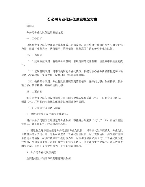 分公司专业化队伍建设框架方案