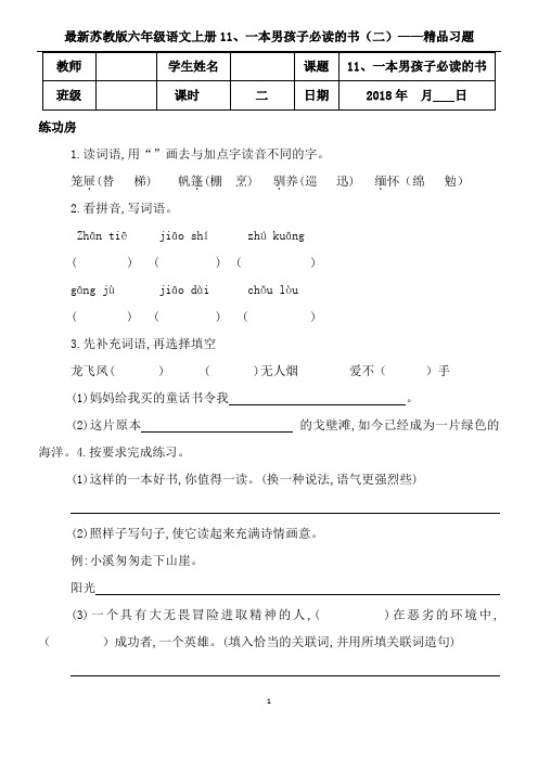 苏教版六年级语文上册11、一本男孩子必读的书(二)精品习题