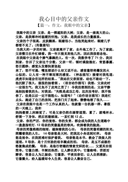 我心目中的父亲作文