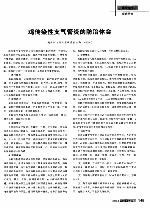 鸡传染性支气管炎的防治体会