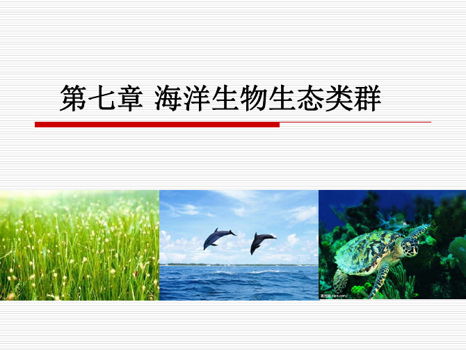 海洋生物生态类群