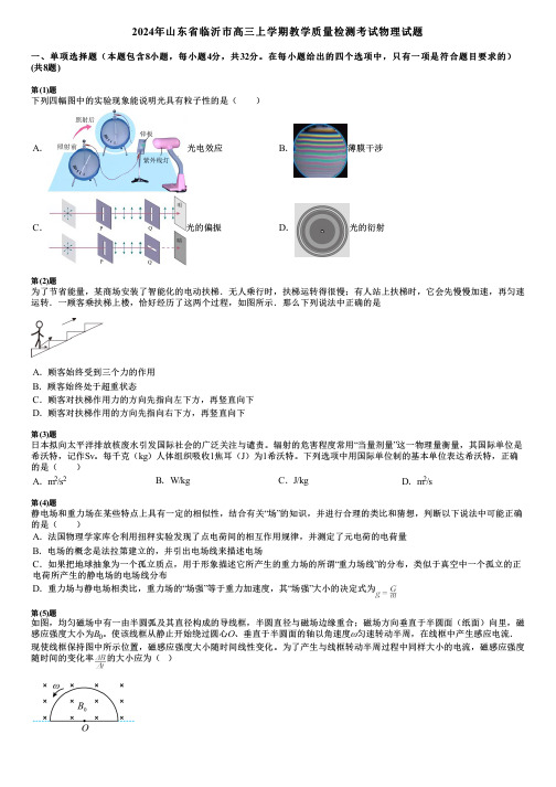 2024年山东省临沂市高三上学期教学质量检测考试物理试题