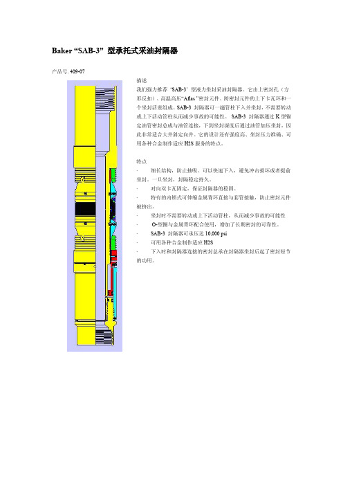 贝克修斯封隔器及配套产品介绍