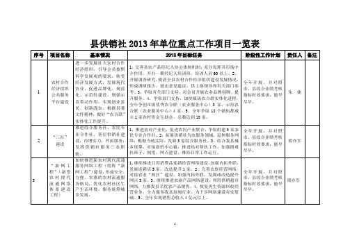 供销社2013年单位重点工作项目一览表