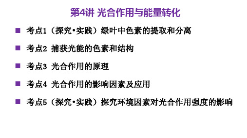 5.4光合作用与能量转化(Ⅰ)课件-高一上学期生物人教版(2019)必修1