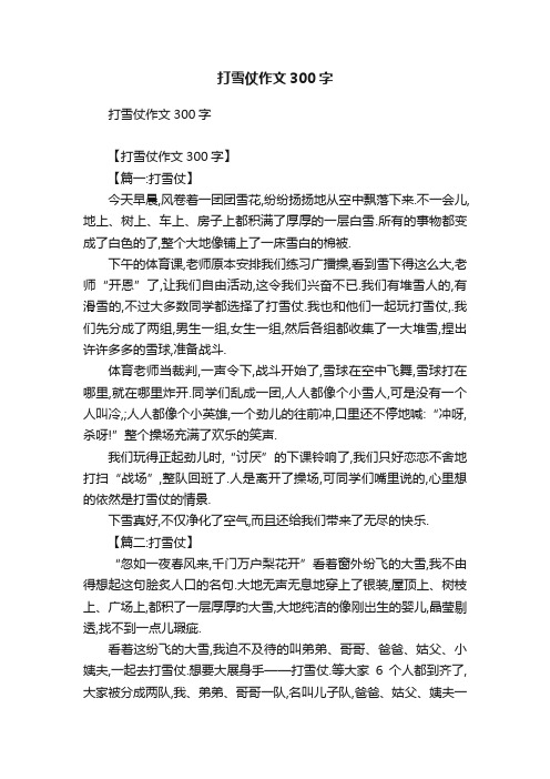 打雪仗作文300字