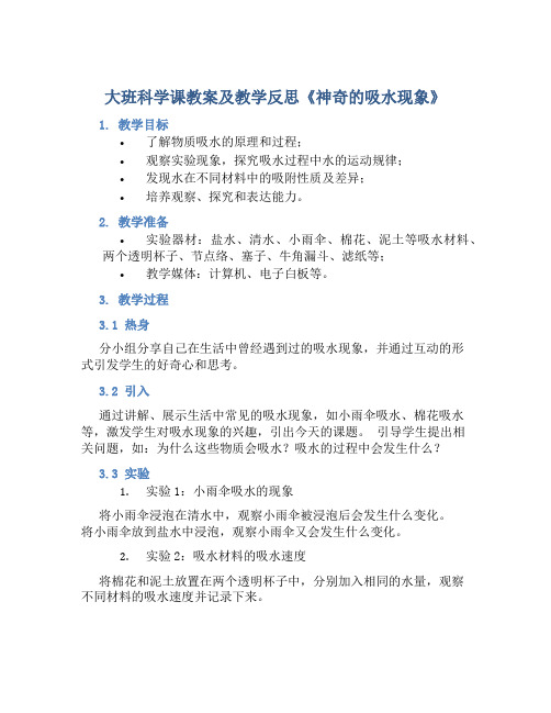 大班科学课教案及教学反思《神奇的吸水现象》