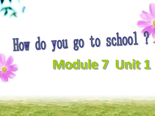 二年级上册英语课件-Module 7 Unit 1 How do you go to school 