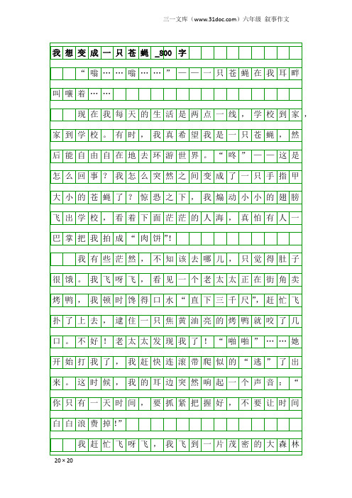 六年级叙事作文：我想变成一只苍蝇_800字