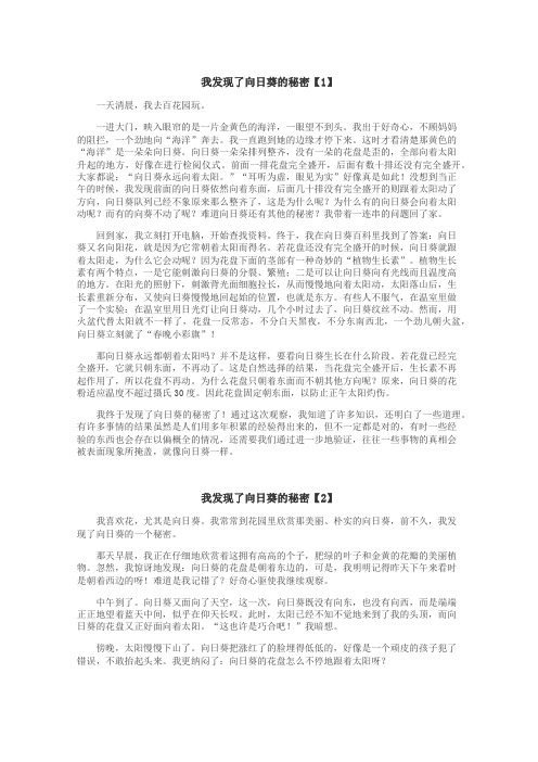 我发现了向日葵的秘密作文
