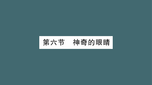 第4章 第6节 神奇的眼睛—2020年秋教科版物理八年级上册课时作业课件