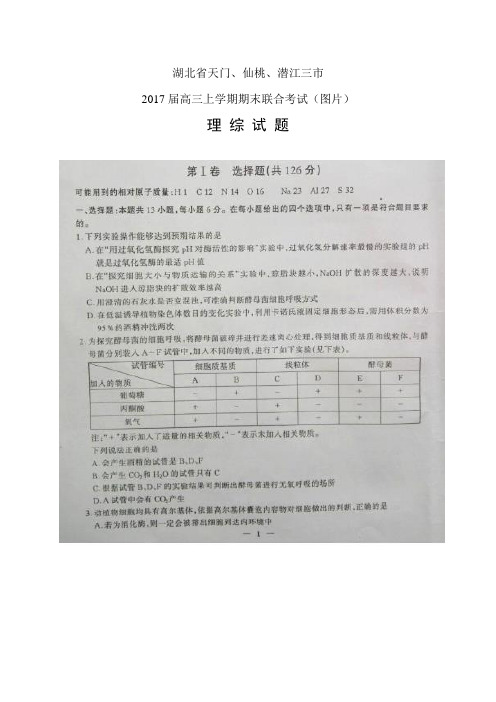 湖北省天门、仙桃、潜江三市高三上学期期末联合考试(图片)——理综理综