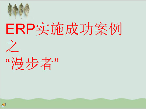 ERP实施成功案例分析PPT课件( 33页)