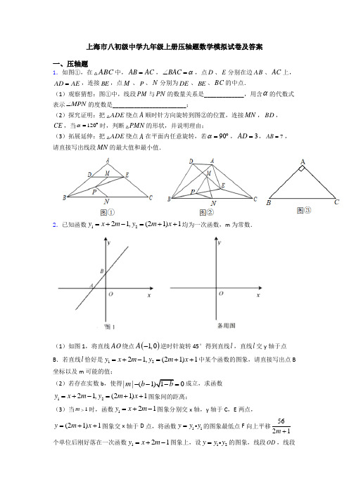 上海市八初级中学九年级上册压轴题数学模拟试卷及答案