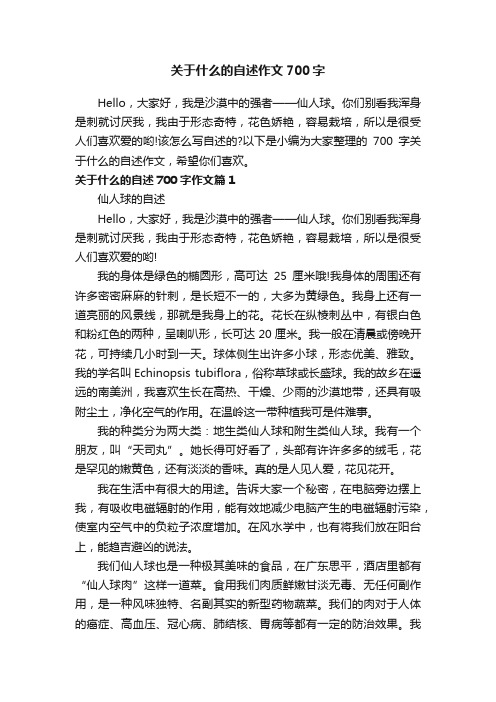 关于什么的自述作文700字