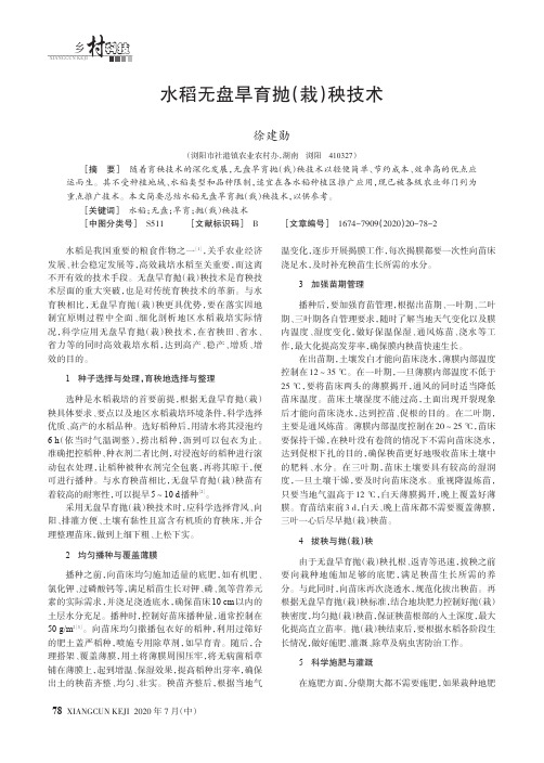 水稻无盘旱育抛(栽)秧技术