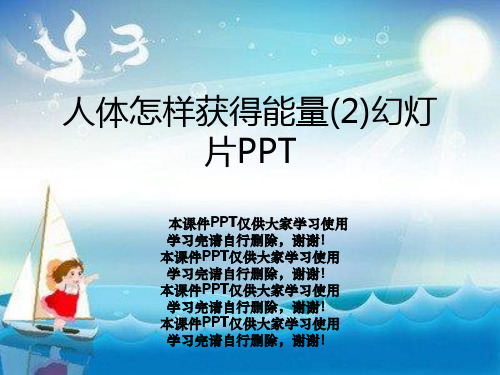 人体怎样获得能量(2)幻灯片PPT