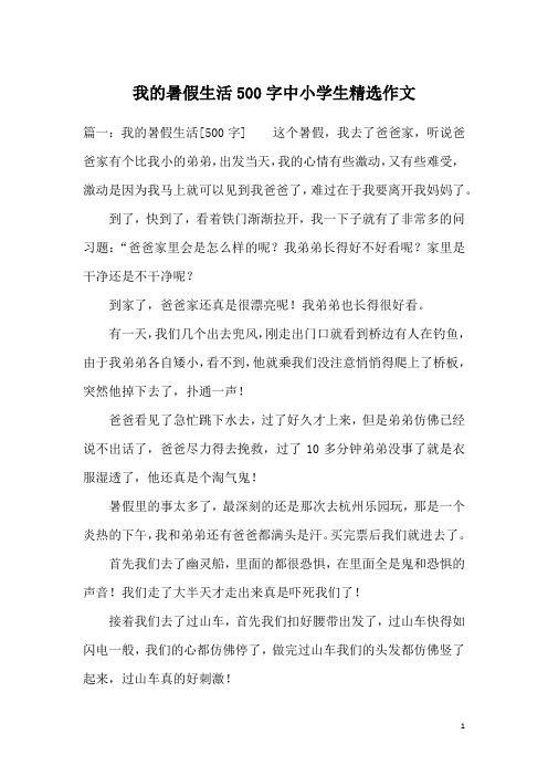 我的暑假生活500字中小学生精选作文