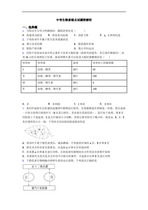 中考生物易错点试题附解析