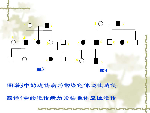 遗传性肾炎