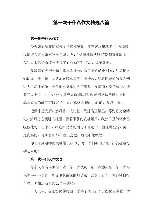 第一次干什么作文500字