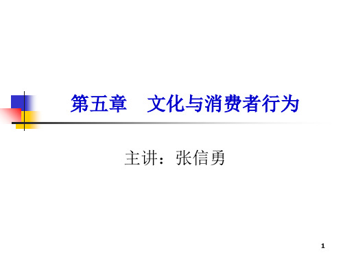 文化与消费者行为培训(PPT 49页)