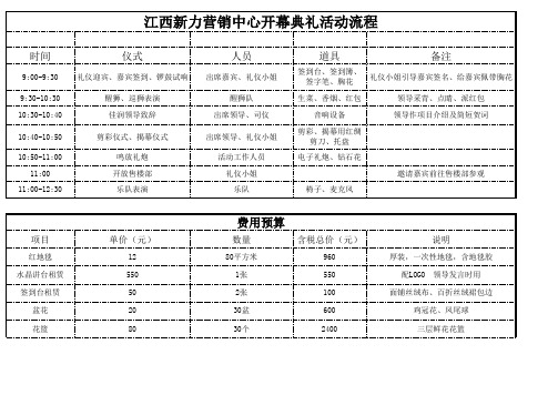 江西新力营销中心开幕典礼活动流程