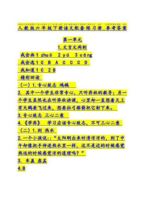 人教版六年级下册语文配套练习册答案