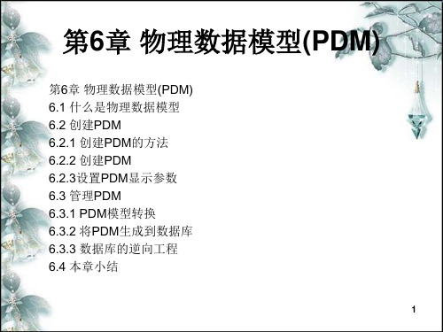 物理数据模型(PDM)