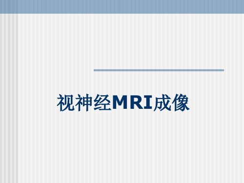 视神经MRI