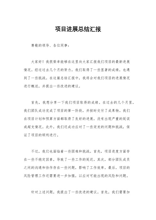 项目进展总结汇报