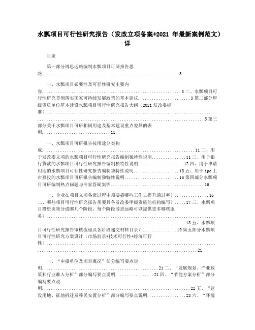 水瓢项目可行性研究报告(发改立项备案+2021年最新案例范文)详