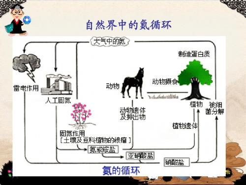 1.2_人工固氮技术-合成氨