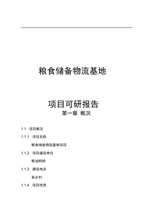 新建粮食储备物流基地项目可行性实施计划书