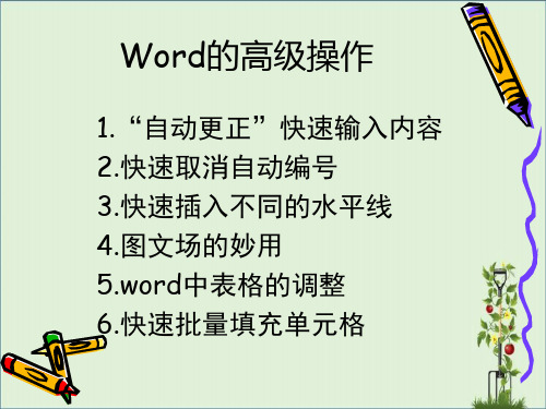 word的高级操作