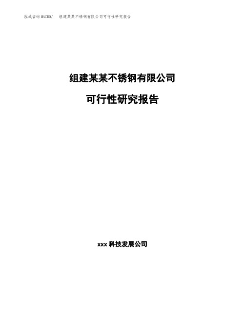 组建某某不锈钢有限公司可行性研究报告