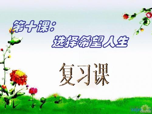 十.选择希望人生(九年级人教版复习课件)