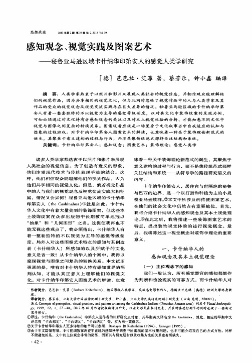 感知观念、视觉实践及图案艺术——秘鲁亚马逊区域卡什纳华印第安人的感觉人类学研究