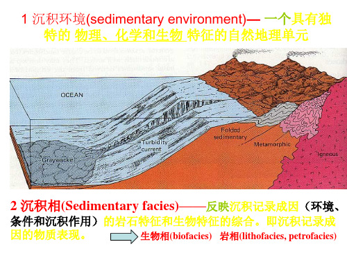 03沉积环境和沉积相