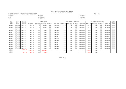 职工基本养老保险缴费流水情况