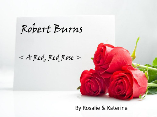 Robert Burns罗伯特 彭斯