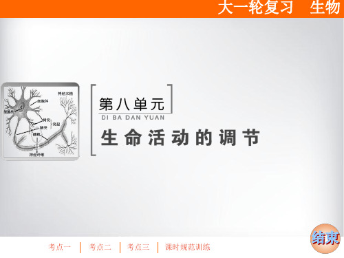 高三生物一轮复习课件 免疫调节